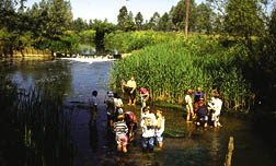 Daws Hall Wildlife Reserve